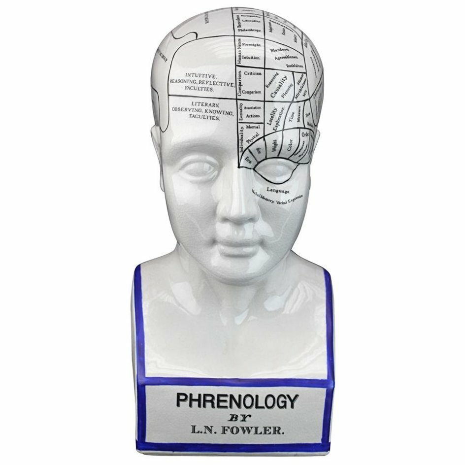 THE PHRENOLOGY オブジェ　サイズ L Phrenology Head Statue Map of Brain Porcelain Sculpture
