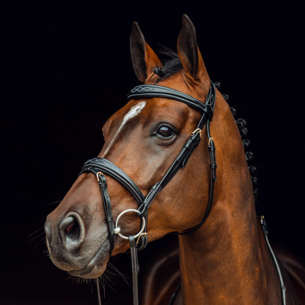 Horze Sion Padded Black Leather Dressage Bridle with Fancy Stitching - FULL SIZE - kenkyou.jp