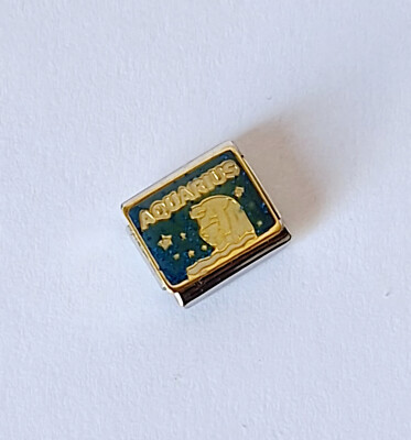 Italian Charms 9-mm-Edelstahl-Modul Sternzeichen Aquarius, Wassermann
