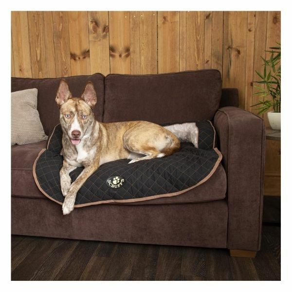 Scruffs Wilton Sofa Pet Bed Dog Puppy Padded Quilted Mattress Cat