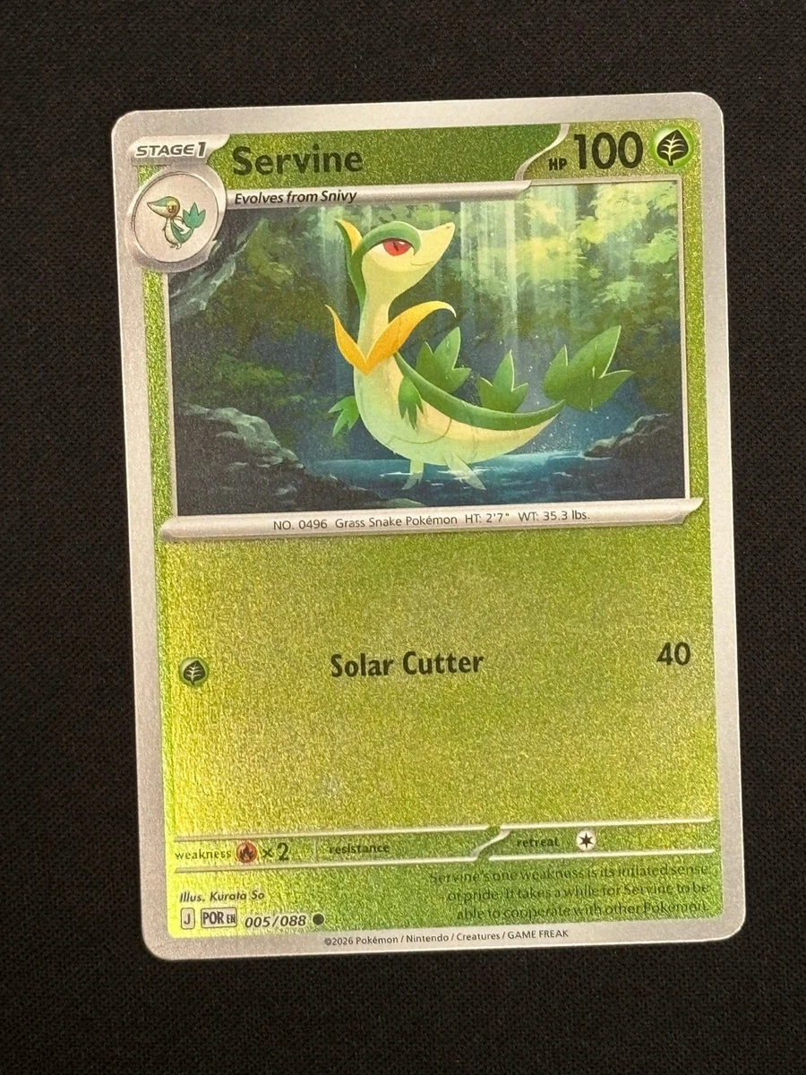 graded cards display case Standard PSA-Style Graded Card Display Case  Acrylic Magnetic Holder   Titan Display
