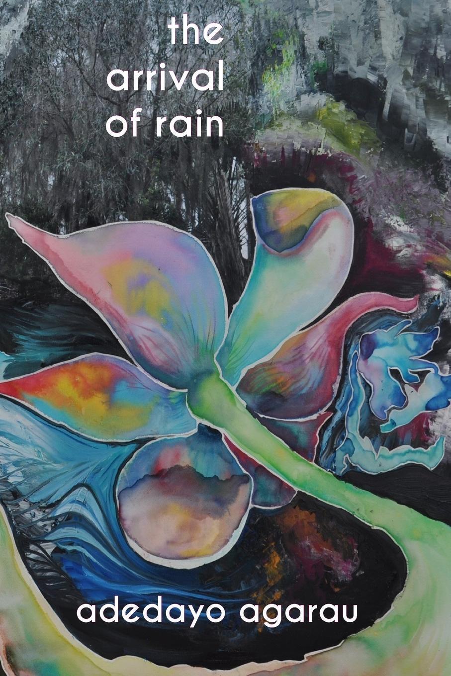 The Arrival Of Rain Adedayo Adeyemi Agarau Taschenbuch Paperback