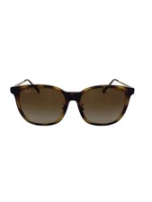 Ray-Ban Sunglasses Wellington CML BRW Men's RB4333D
