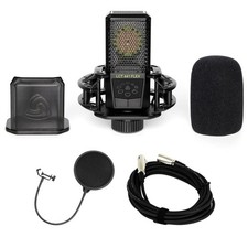 Lewitt LCT-441 Flex Microphone Bundle with 20-foot XLR Cable  Pop Filter