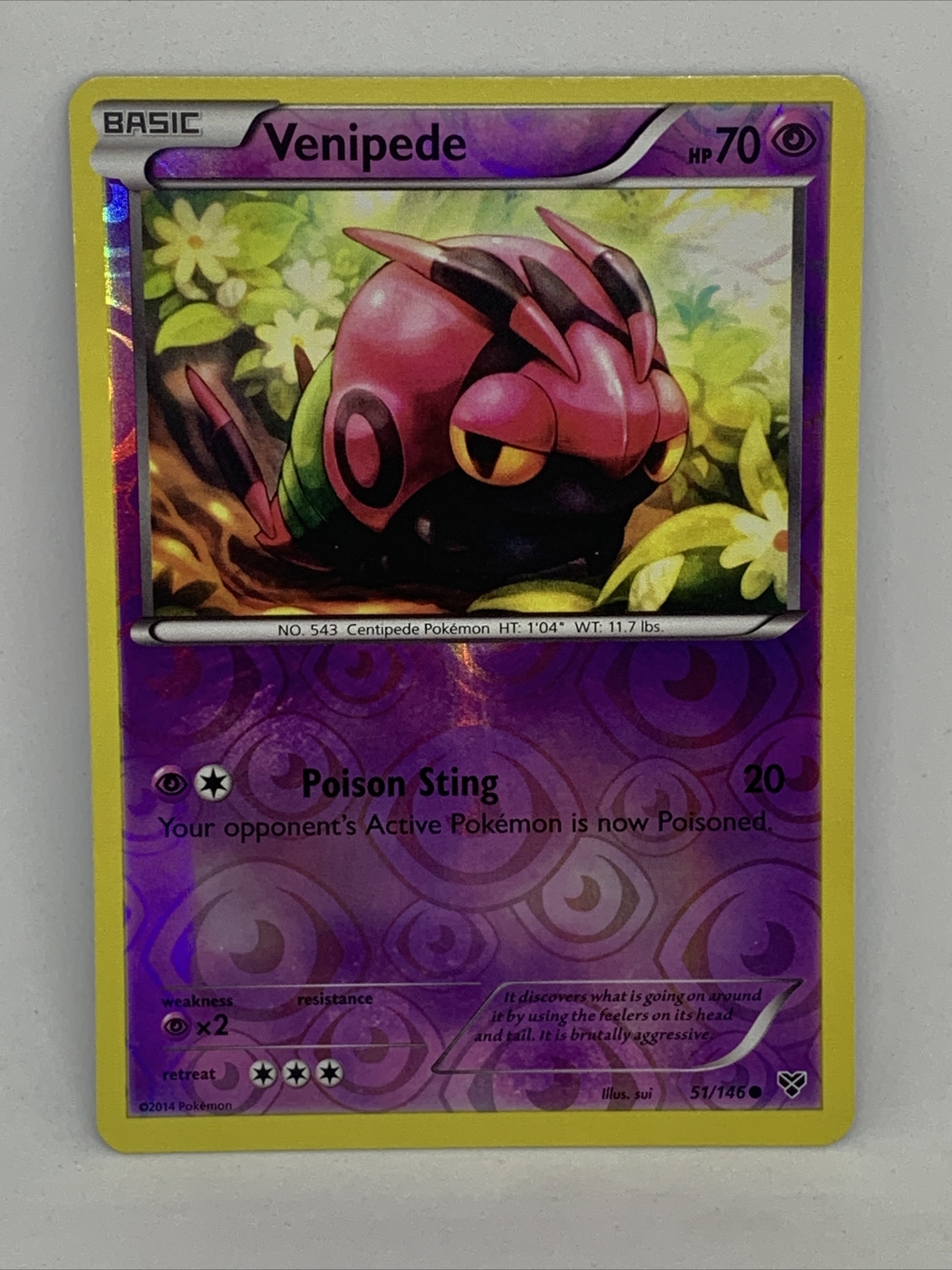 Pok%C3%A9mon+TCG+Venipede+XY+51%2F146+Reverse+Holo+Common for sale ...