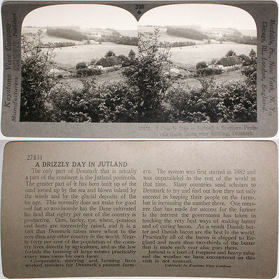 Keystone Stereoview of a Corn Farm in Iowa  From the 600/1200 Card Set #1146