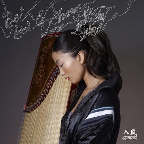 Bei Bei Into the Wind (CD)