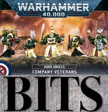 Warhammer 40K Heresy Dark Angels COMPANY VETERANS FALLEN RISEN Bit Bits Lion