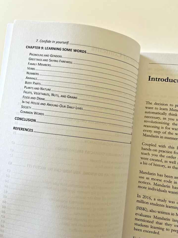 Learn Mandarin Chinese for Beginners by Leo W. Chang (2020) | 2 Books in 1 - Image 3 of 4