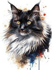 Photo A4 Bicolor Maine Coon Cat Art Poster Wall Art – 2315
