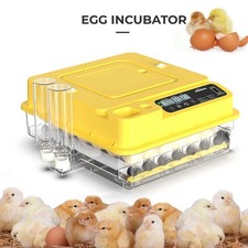 Fully Automatic Incubator Intelligent 24 Eggs Chicken Duck Goose Egg Hatcher
