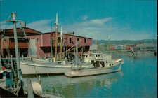 Tichnor Bros Rockland ME Fishing Boats Postcard Made in USA K-5436 Unposted