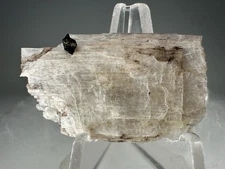 Fine Epididymite Crystal: Mount Malosa, Zomba, Southern Region, Malawi- Rare!