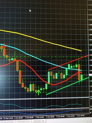 forex trading Programm