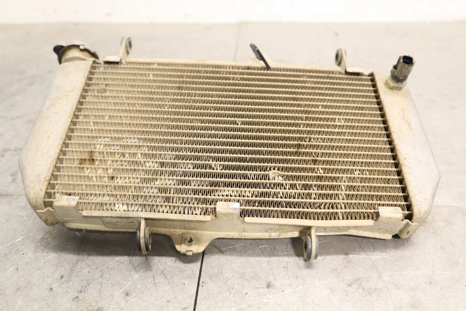 Yamaha YFZ450X 2010 OEM motor radiador motor enfriador radiador de refrigeración Foto 2 de 4