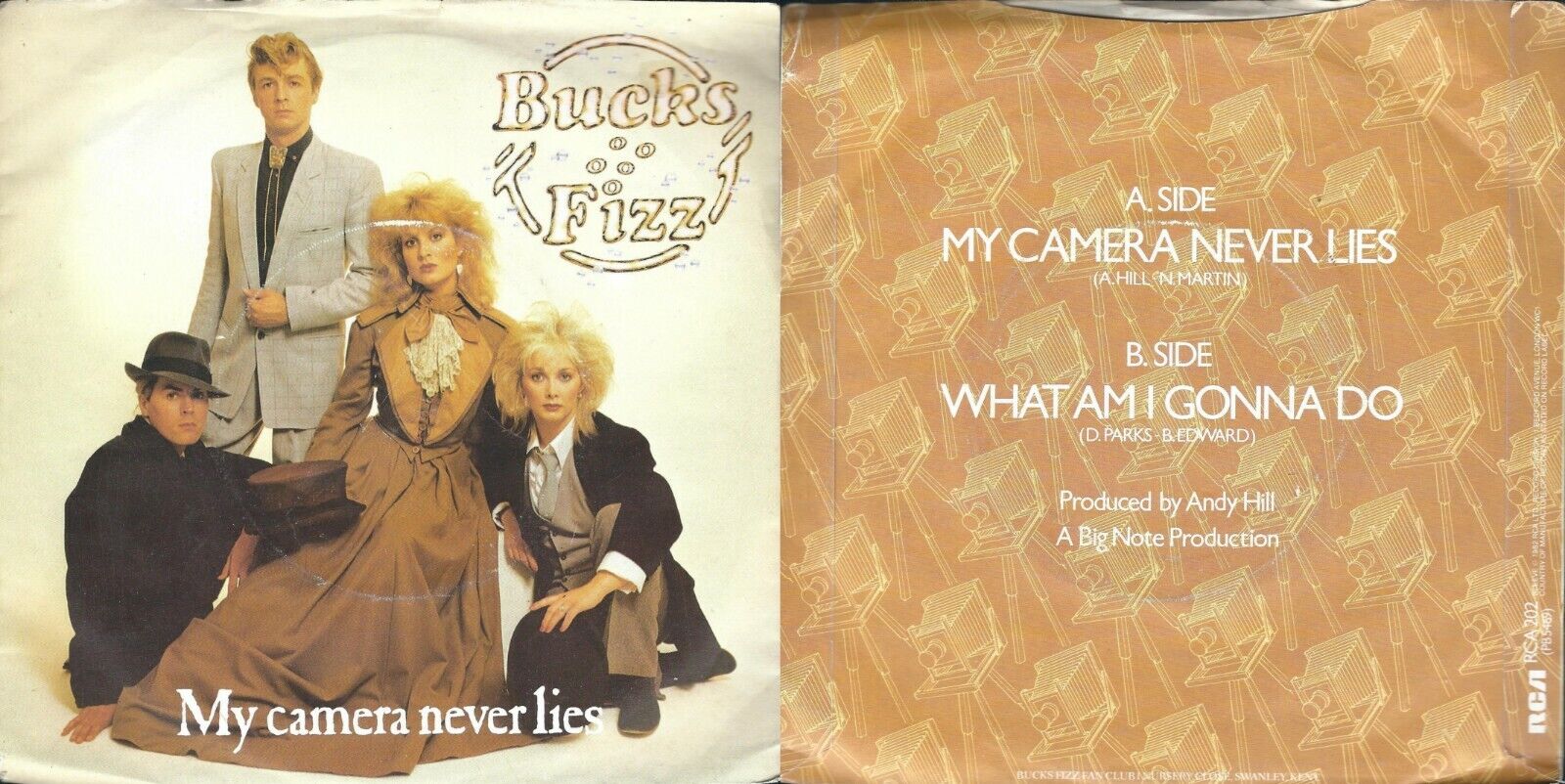 Ik zie je morgen Flikkeren links Record 45 RPM Bucks Fizz ‎– My Camera Never Lies What Am I Skirt Do | eBay