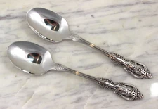Oneida SSS Stainless Silverware - RENOIR PEMBROOKE - Soup Spoons, Set of 2