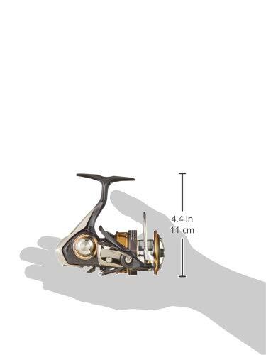 Daiwa 18 LEGALIS LT3000D-C Spinning Reel Nylon 00060015