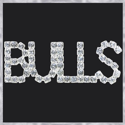 Forever Silver Swarovski Crystal ''BULLS'' Pin