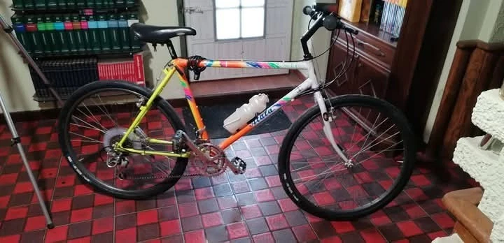 Vélo De Ville Atala 28 Pouces Homme - Vert Foncé - À Restaurer