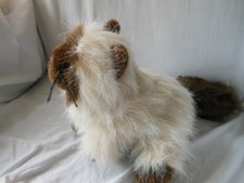 Webkinz Himalayan For Sale Online Ebay