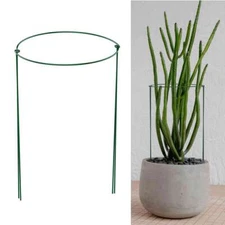 2PCS Climbing Plant Support Cage Garden Trellis Flower Tomato Stand Rings US