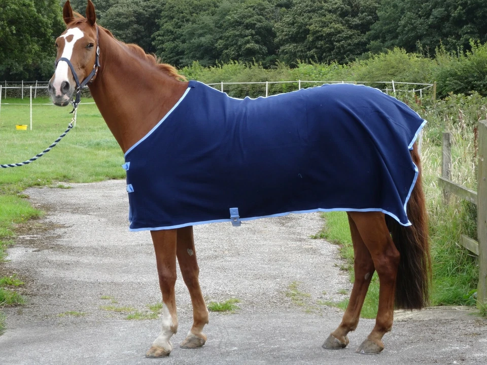 Stunning Navy show cover / travel fleece cooler stable pony horse rugs 4'9-7'0" - Image 4 of 4