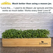 SPROUTING KIT MICROGREENS GROWING KIT Self Watering Salad & Broccoli ZESTIGREENS