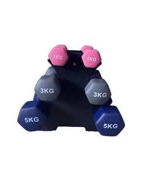 Hantelset mit Ständer 1kg 3kg 5kg Gewichte und Ablage. Schneller kostenloser Versand inklusive