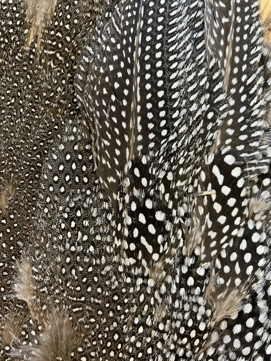 GUINEA FOWL BODY FEATHER,SKIN,NATURAL COLOUR,FLYTYING ARTS AND 
