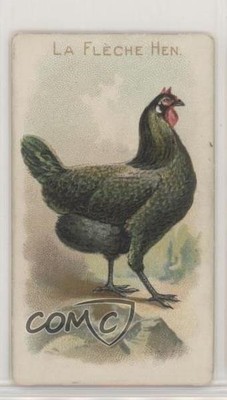 1907 Philadelphia Caramel Zoo Chickens E31 La Fleche Hen z6d