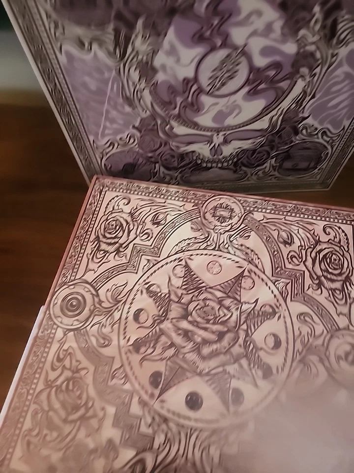 GRATEFUL DEAD Listen to The River: St. Louis '71 '72 '73 20 HQCDs Box Set Foto 4 de 4