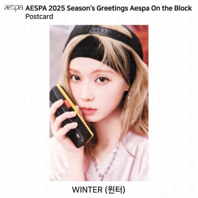 aespa season greetings 2026 トレカ karina s-l400.jpg