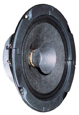 Visaton BG 13 P 8 Ohm 40 Watt Breitbandlautsprecher 5 Zoll 1 Paar 070102
