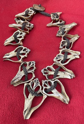 Naga Headhunter Intriguing 15 Shell Shamanic Medicine Necklace