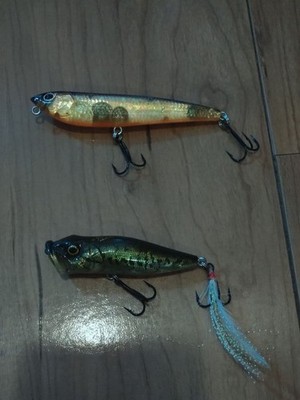 Megabass POP-X DOG-X 2-teiliges Set Angelköder Neuzustand