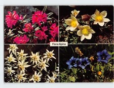 Postcard Flora Alpina