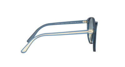 Oliver Peoples X The Row Brooktree Sunglass Limited Edition Oliver Peoples X The Row Brooktree Sunglass Limited Edition