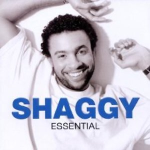 SHAGGY - THE ESSENTIAL R&B-SOUL-BLACK-FUNKY-GOSPEL