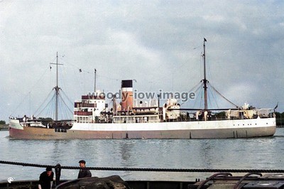 rpc3358 - Ellerman Cargo Ship - Algerian , gebaut 1924 - Druck 6x4