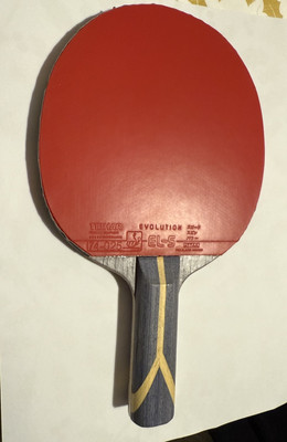 Tischtennis DHS301 ST gebrauchter Schläger in sehr gutem Zustand
