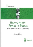 M. N. V. Prasad | Heavy Metal Stress In Plants | Taschenbuch | Englisch (2010)