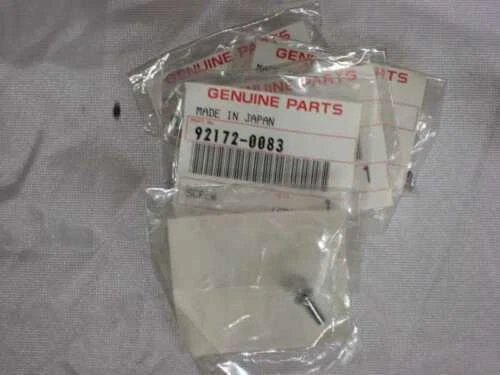 Kawasaki Bremszylinder fürs Motorrad