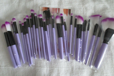 Cosmetic Brushes Set Purple, Basic Beginner Makeup Brushes Collection 34 Pc