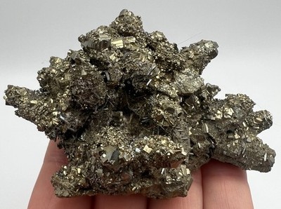 Old Stock Marcasite, Pas de Calais, France, Ex Robert Eaton