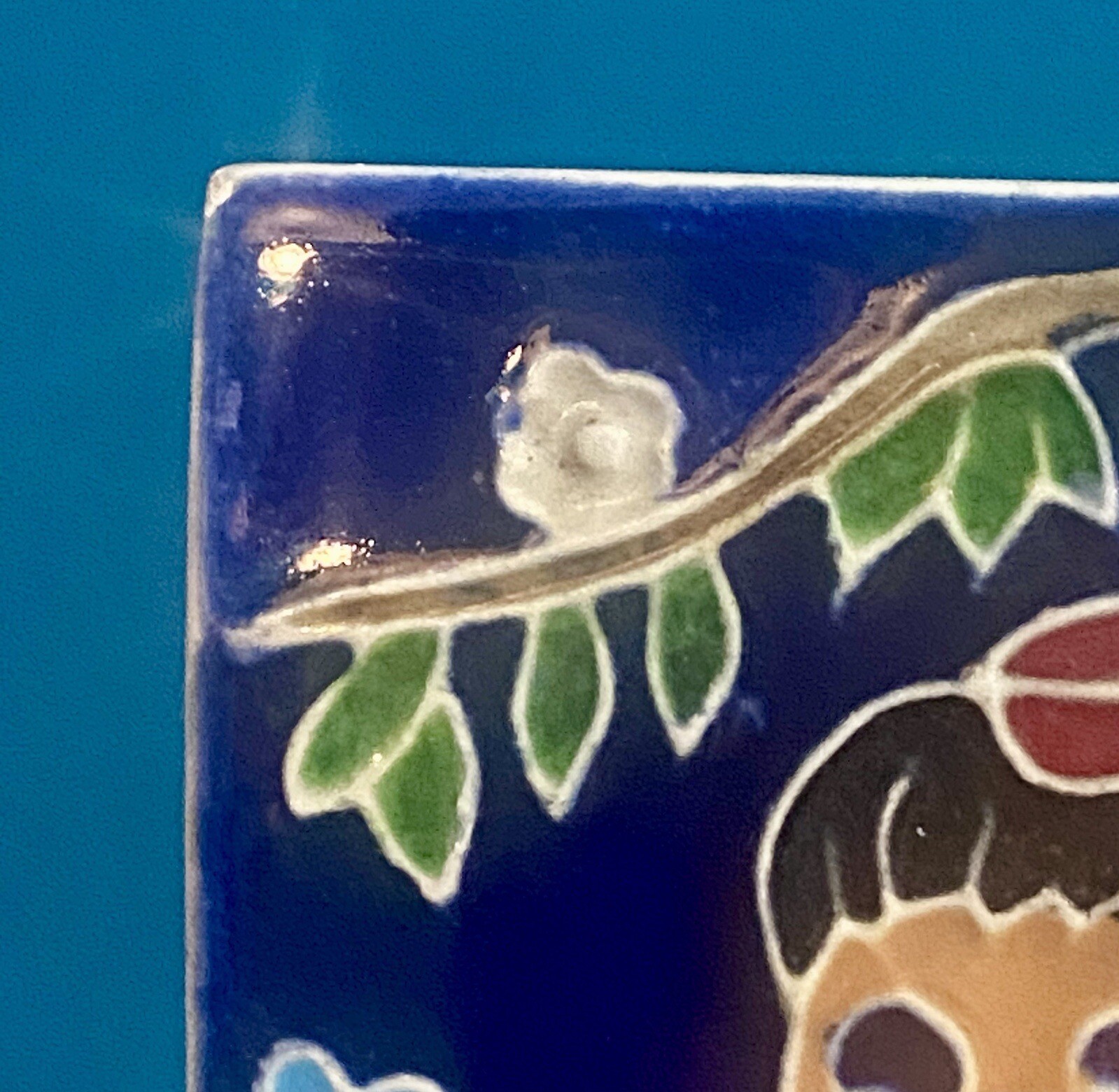Picture 4 of 15