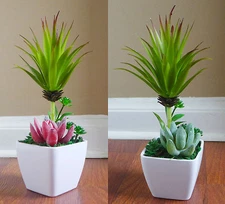 Potted Plants Plastic Artificial Grass Succulents Grass With Pot