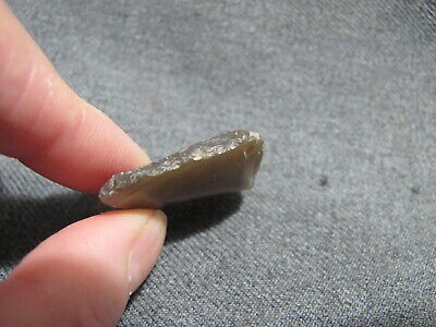 Buy South American Patagonian Neolithic Stone Scraper   #2