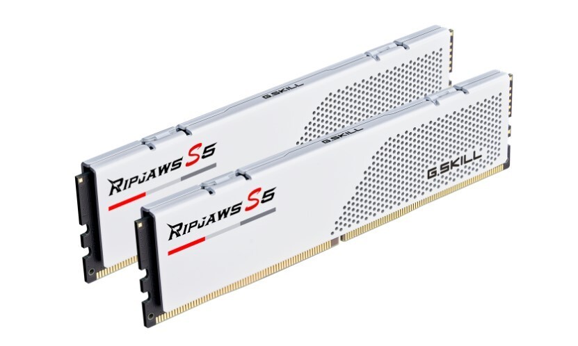 G.SKILL Ripjaws S5 32GB (2 x 16GB) (DDR5-5600) CL36 F5
