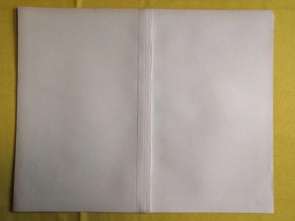 1890 THURINGIA GEOLOGICAL MAP Vintage Germany ORIGINAL 11.5 x 9.5"- C12 - Image 3 of 3